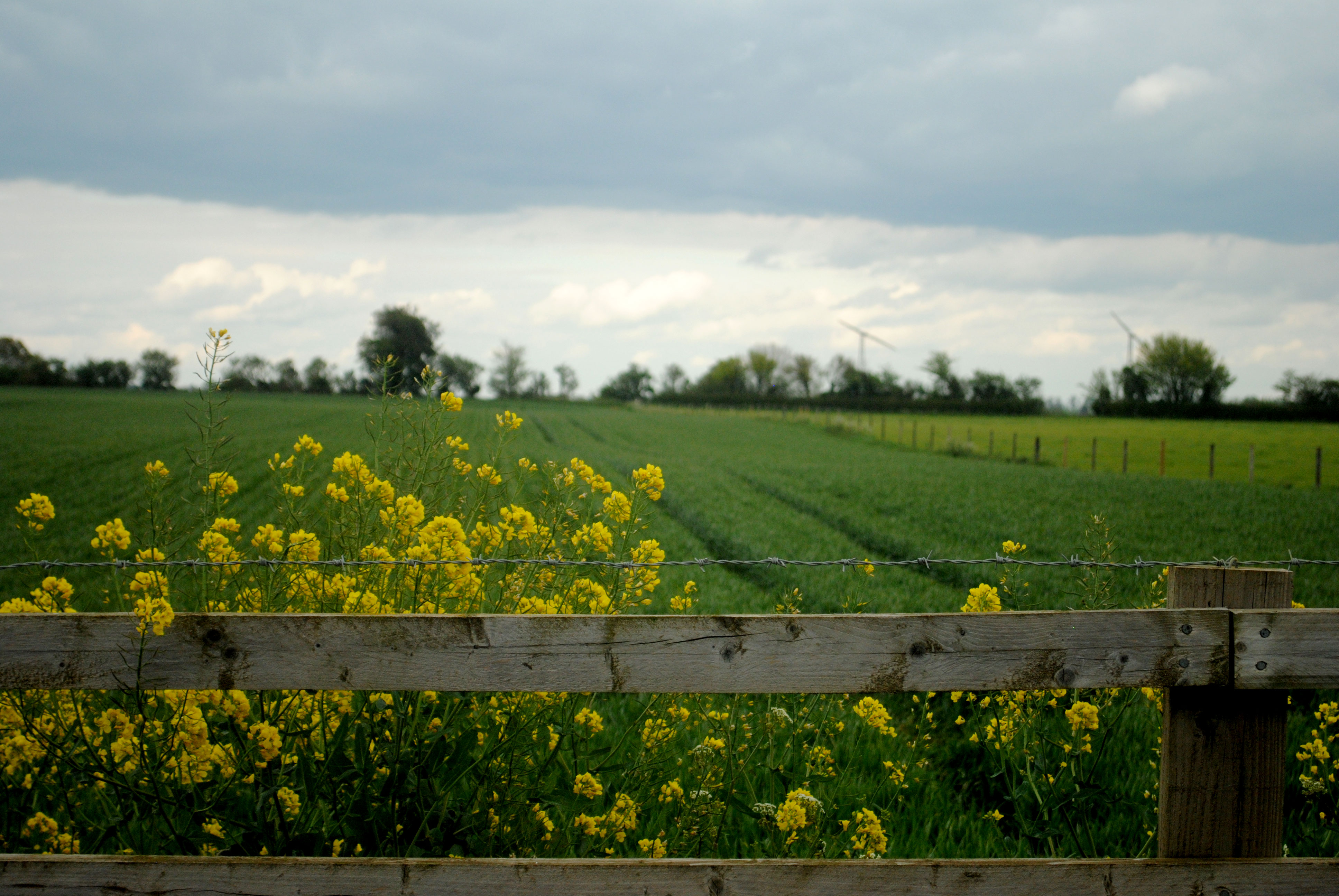 Travel in the UK: England